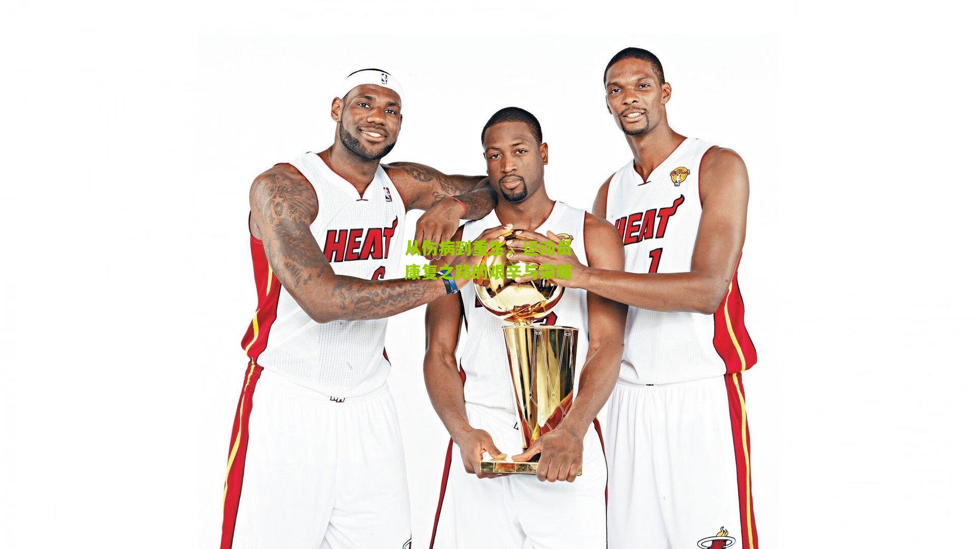 从伤病到重生，运动员康复之路的艰辛与荣耀