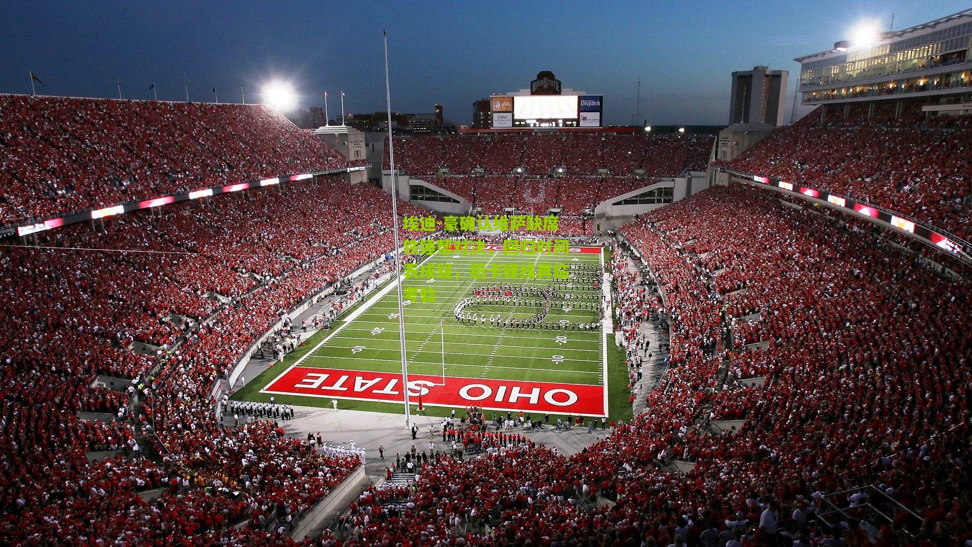 开云体育app_埃迪-豪确认维萨缺席铁锤帮对决，回归时间表成疑，纽卡锋线再临考验